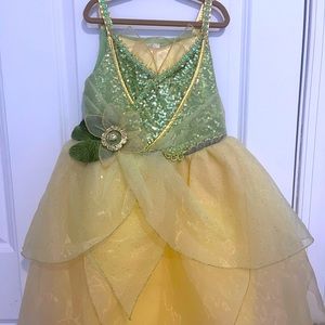 Tiana costume/dress